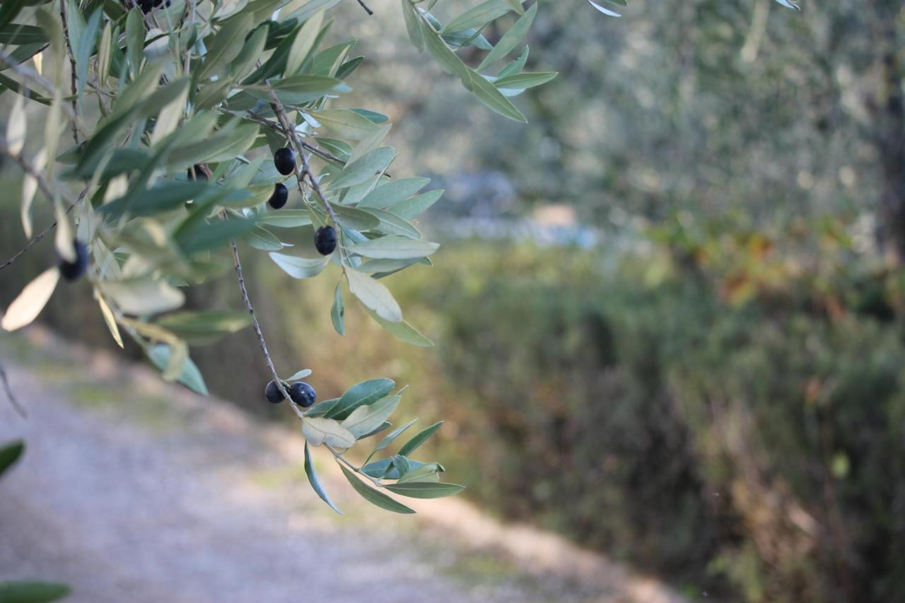 Rondini Blu Guest House Montespertoli Exterior foto